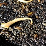 Como hacer arroz negro con sepia