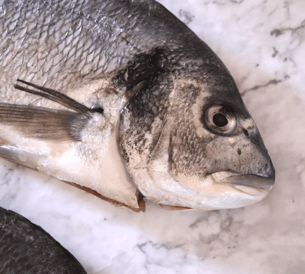 dorada a la sal